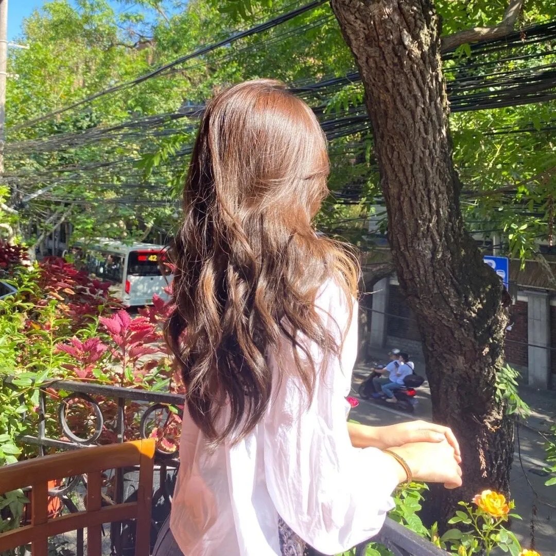 山羊和狼 封面