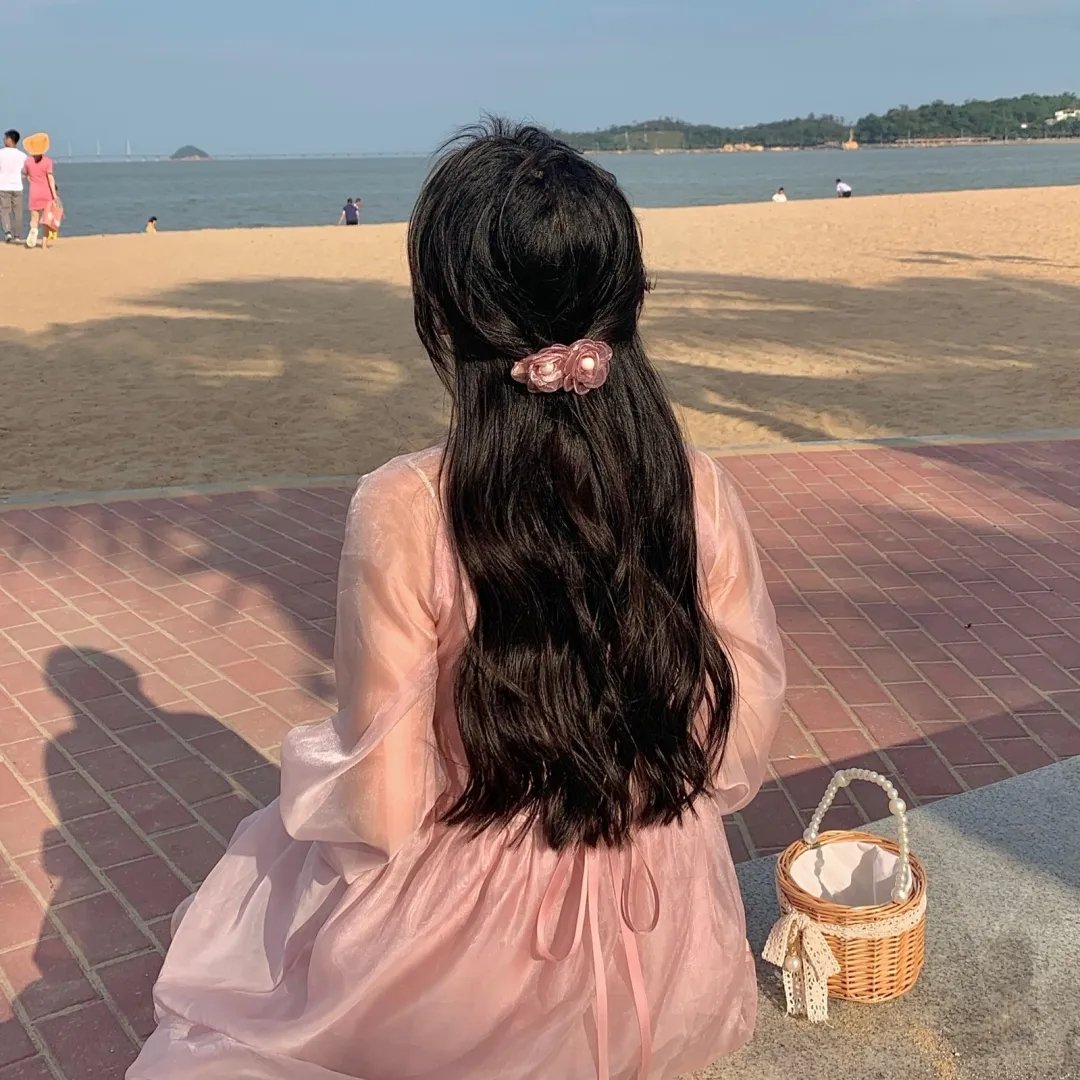黑蝴蝶的故乡 封面